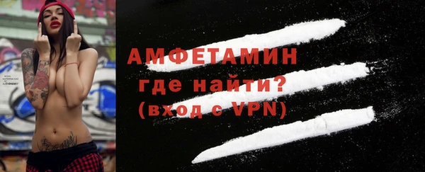 индика Покачи