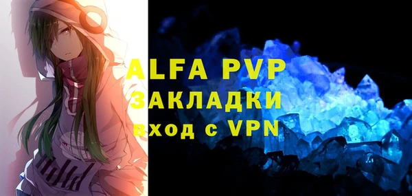 индика Покачи