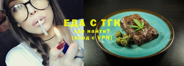 индика Покачи