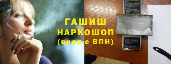 индика Покачи