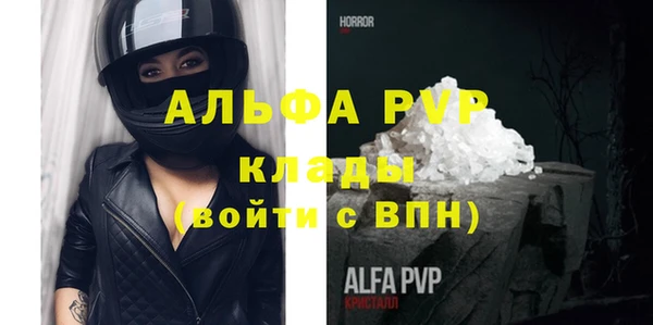 индика Покачи