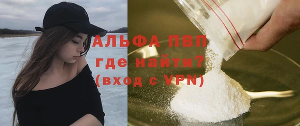индика Покачи