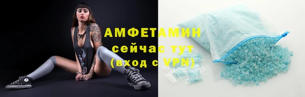 индика Покачи