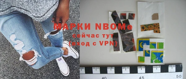 индика Покачи