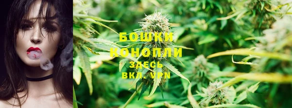 ECSTASY Покров
