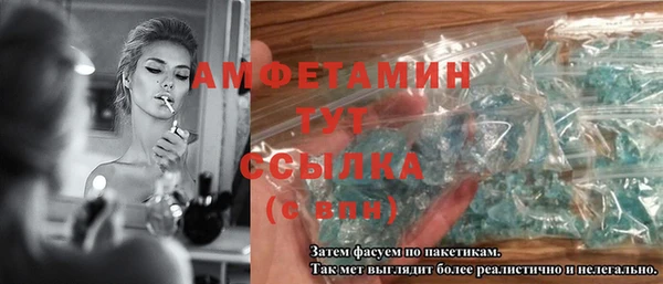 индика Покачи